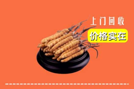 武山县回收冬虫夏草