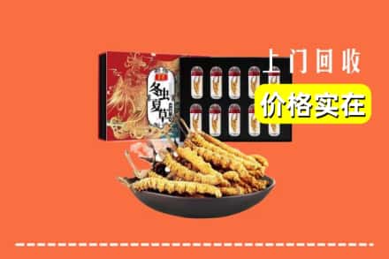 武山县回收虫草