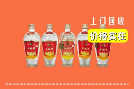 诚信求购:武山县高价回收老五粮液